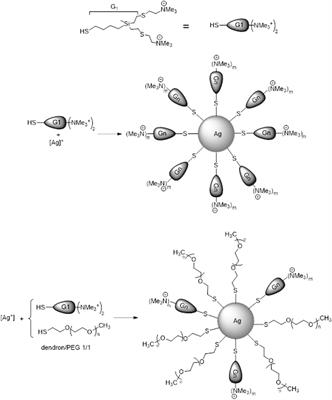 Dendronized Silver Nanoparticles as Bacterial Membrane Permeabilizers and Their Interactions With P. aeruginosa Lipopolysaccharides, Lysozymes, and Phage-Derived Endolysins